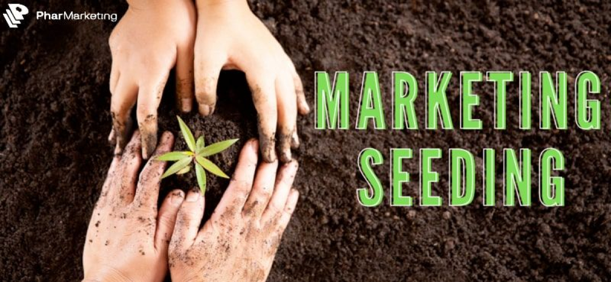 Seeding là gì? 3 mẹo giúp bạn sở hữu tư duy Seeding thông minh
