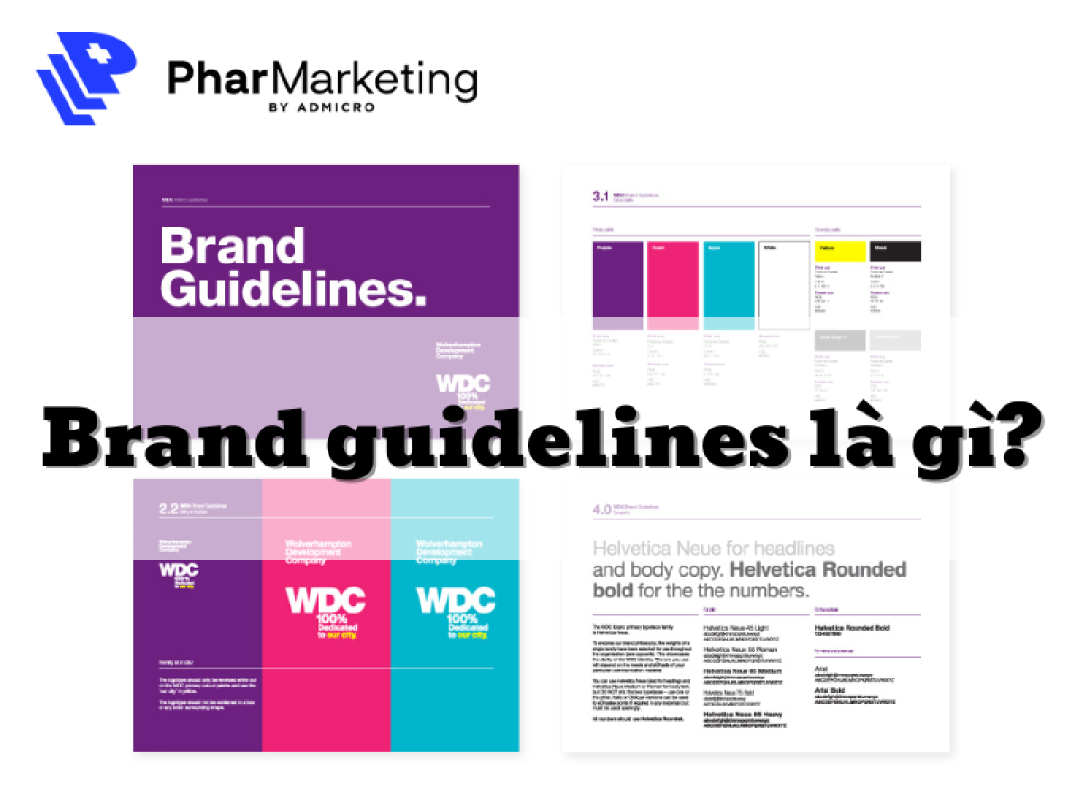 Brand guidelines là gì? Tầm quan trọng của Brand Guidelines trong kinh doanh
