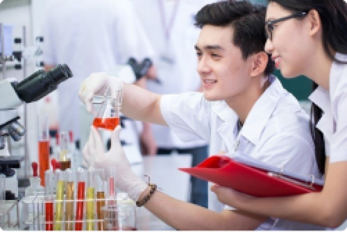 Đội ngũ chuyên gia