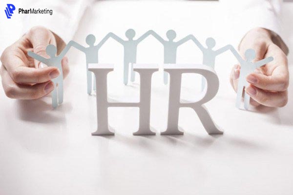 HR là bộ phận chịu trách nhiệm về các công việc liên quan đến nguồn nhân lực