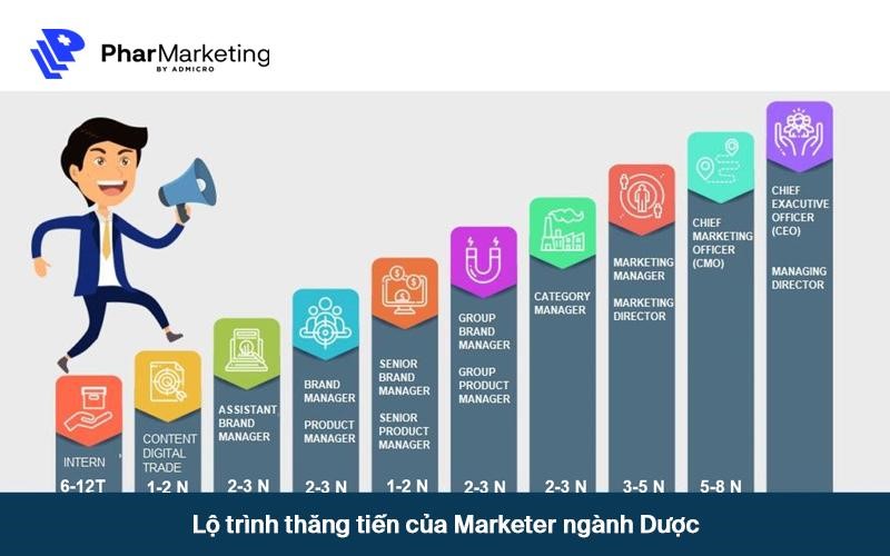 Lộ trình thăng tiến của Marketer ngành Dược