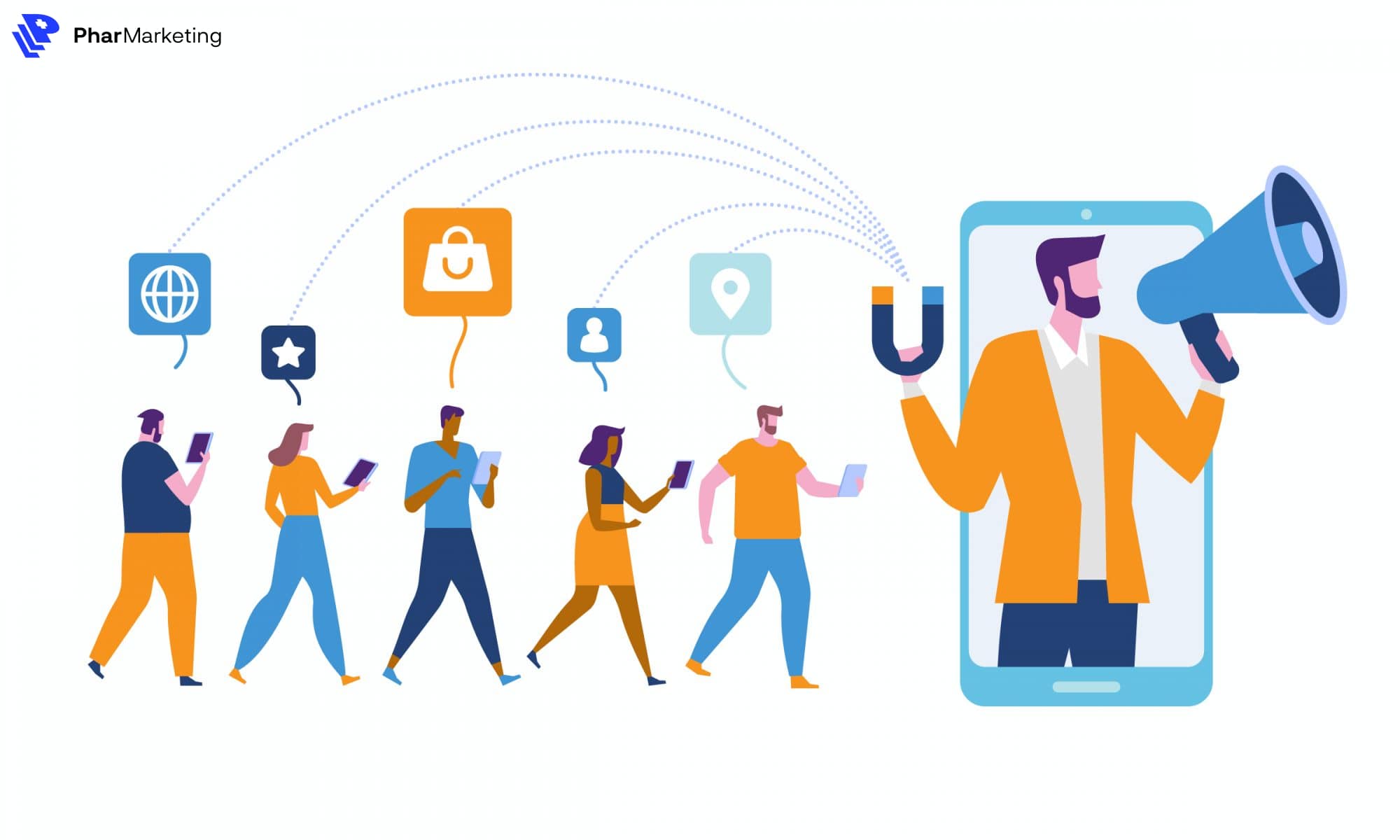 vai trò của seeding